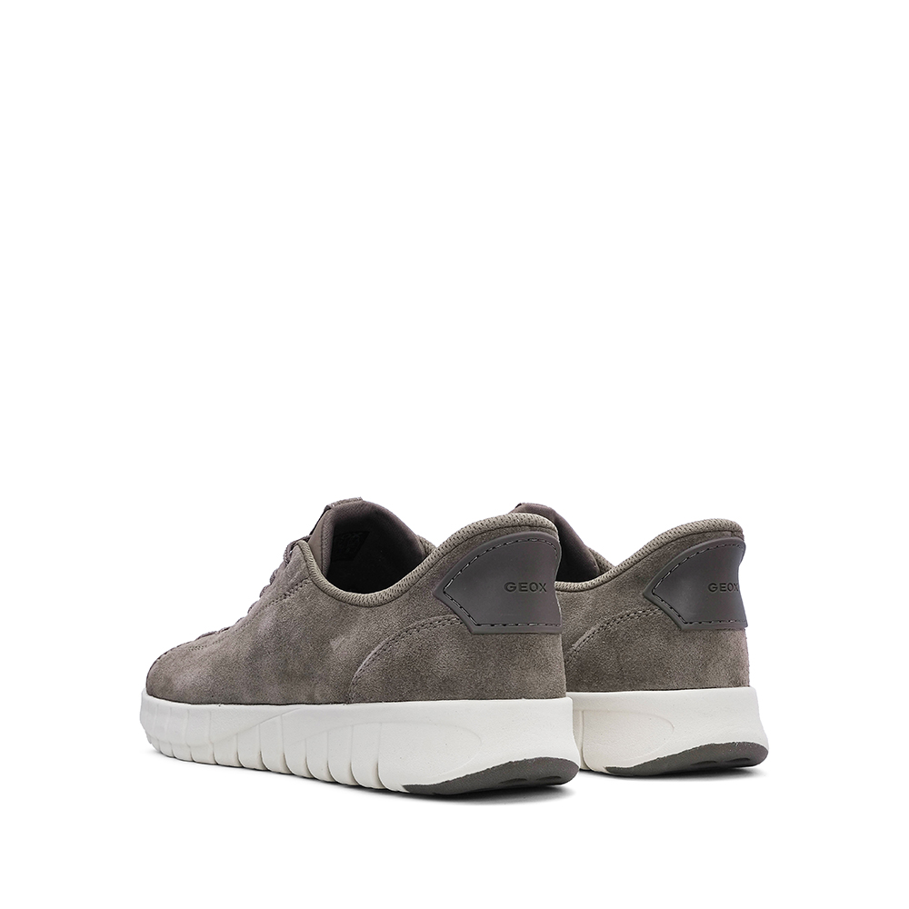 Sapatilha Homem Camurça geox