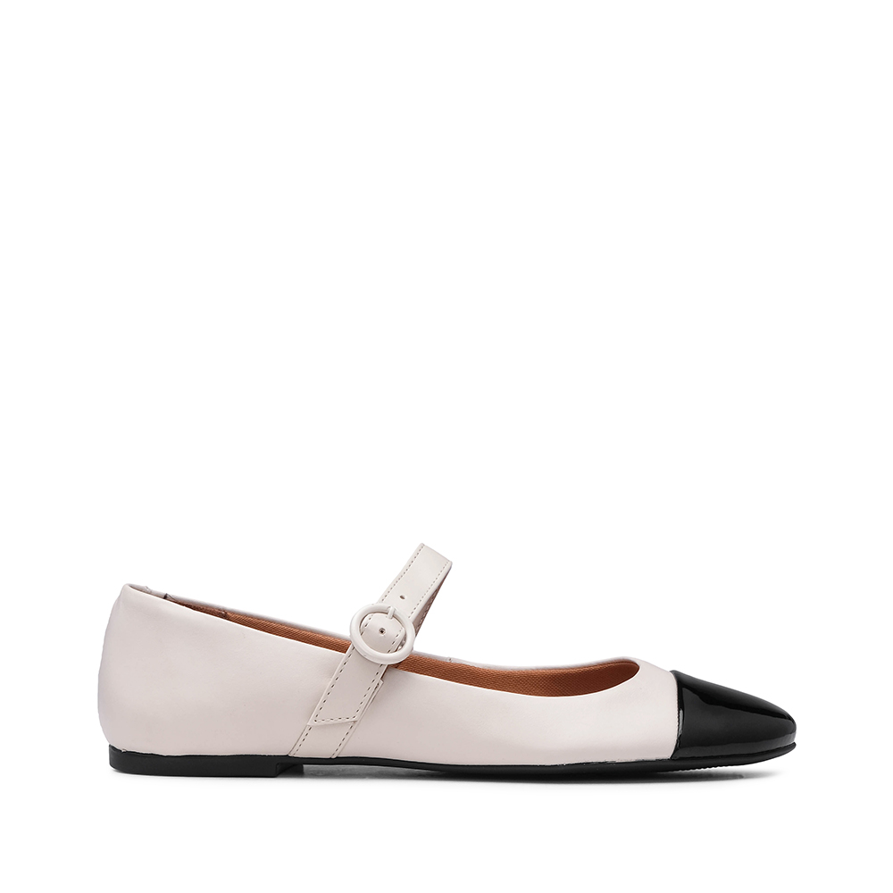 CS1325ST102.029_BEG_1
