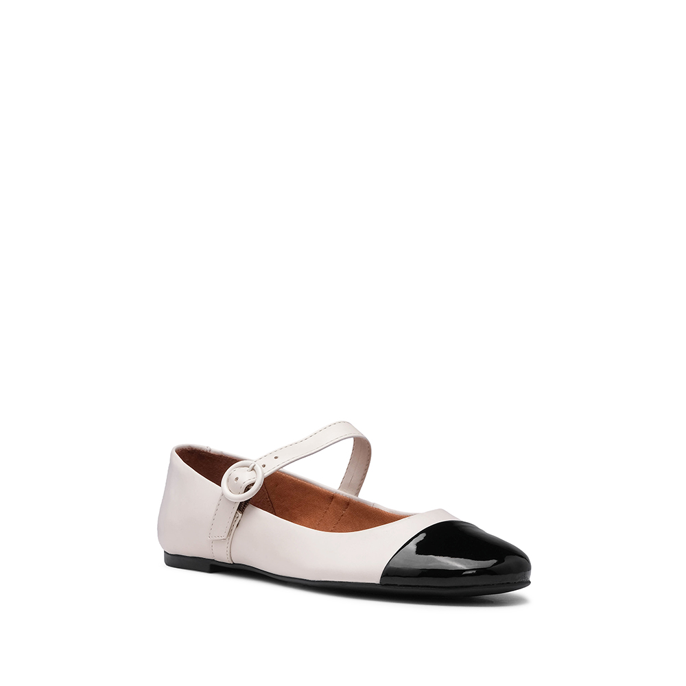 CS1325ST102.029_BEG_1